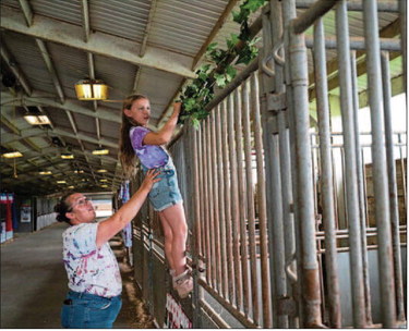 Westmoreland Fair features new wrestling event